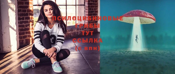 не бодяженный Карпинск